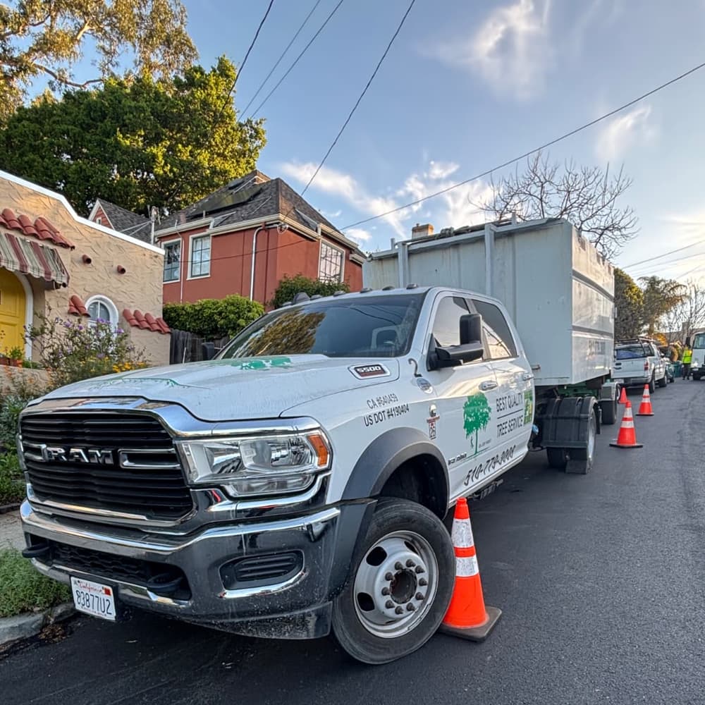 Dodge Chipper
  Truck